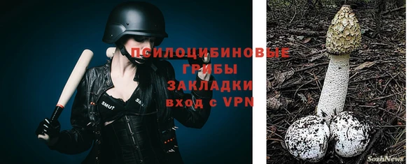 дурь Кукмор