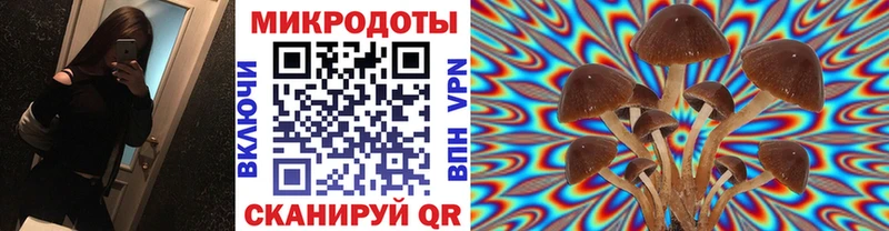 где купить Южноуральск Галлюциногенные грибы Magic Shrooms